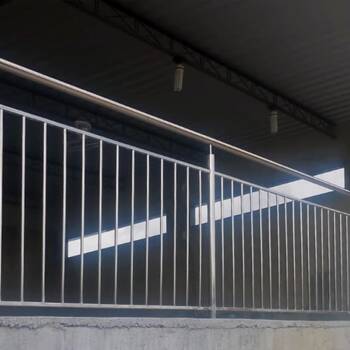 Guarda Corpo 20251201